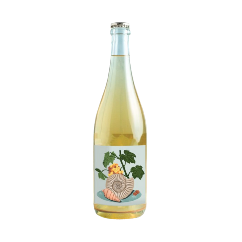 botella fosil sin fondo cuadrada